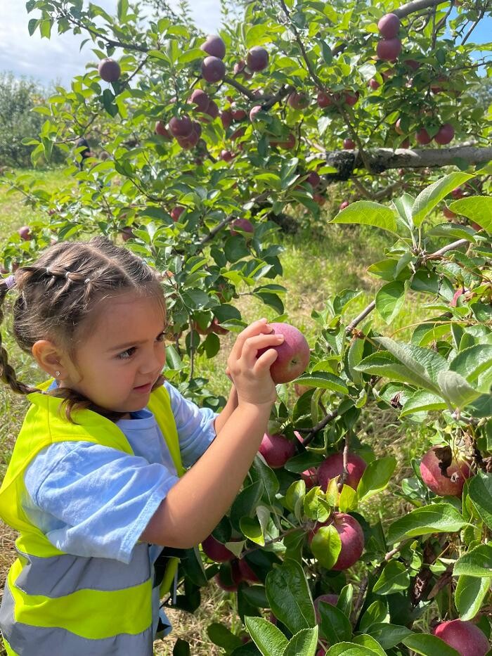 Images The Children's Center of New Milford, Inc