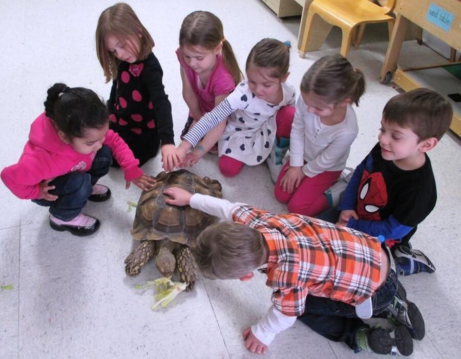 Images The Children's Center of New Milford, Inc