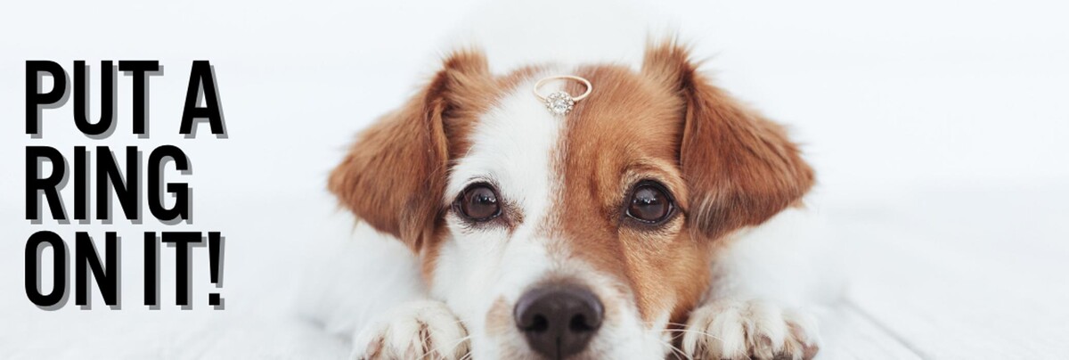 Images Rogers & Hollands Jewelers