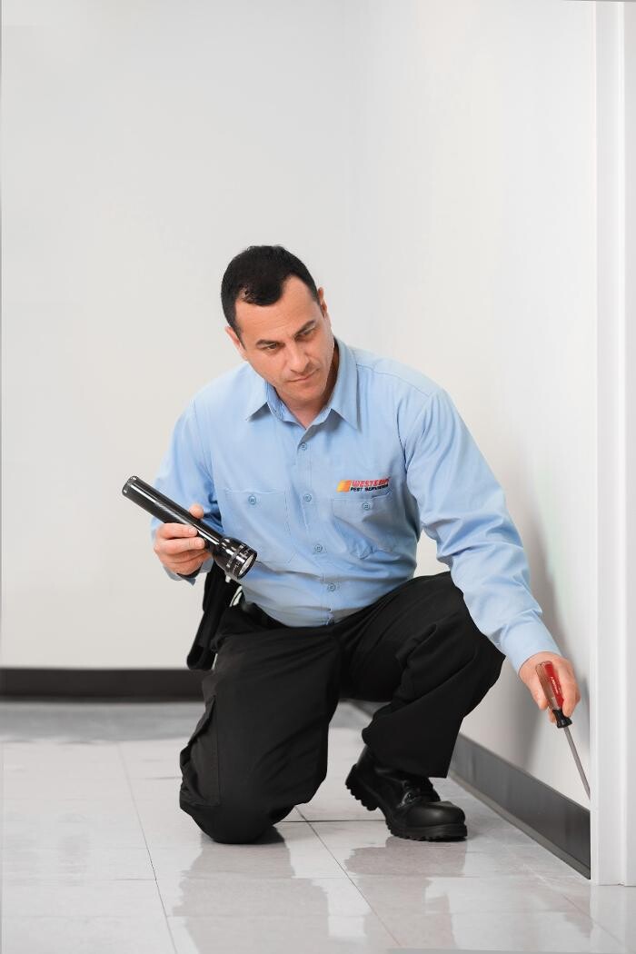 Images Western Pest Services