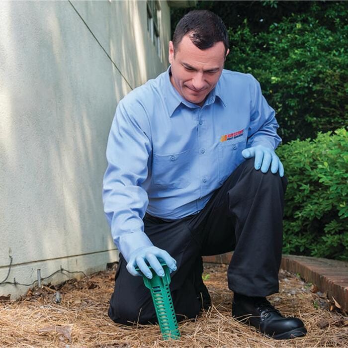 Images Western Pest Services