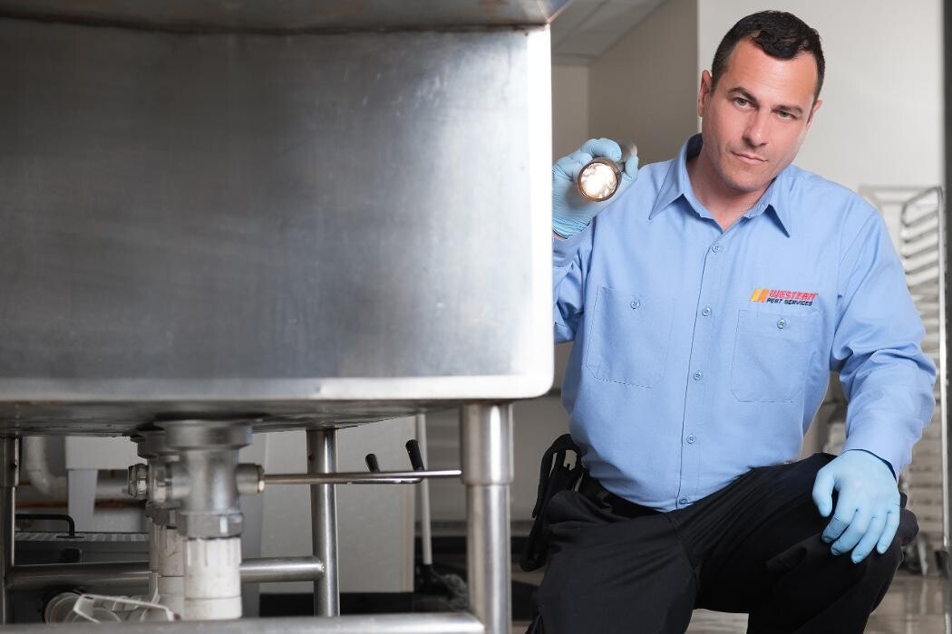 Images Western Pest Services