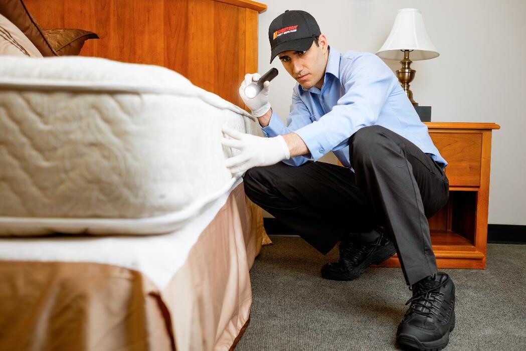 Images Western Pest Services
