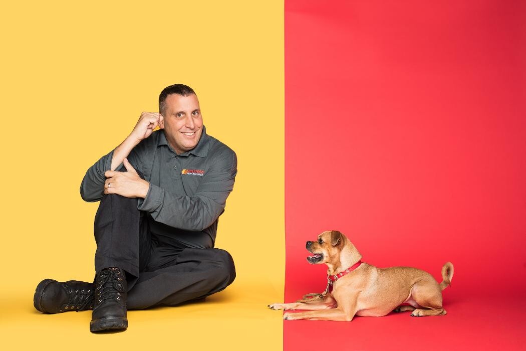 Images Western Pest Services