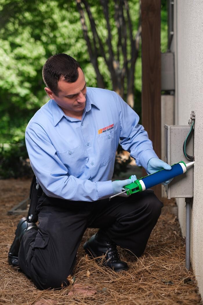 Images Western Pest Services