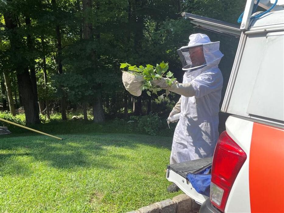 Images Western Pest Services