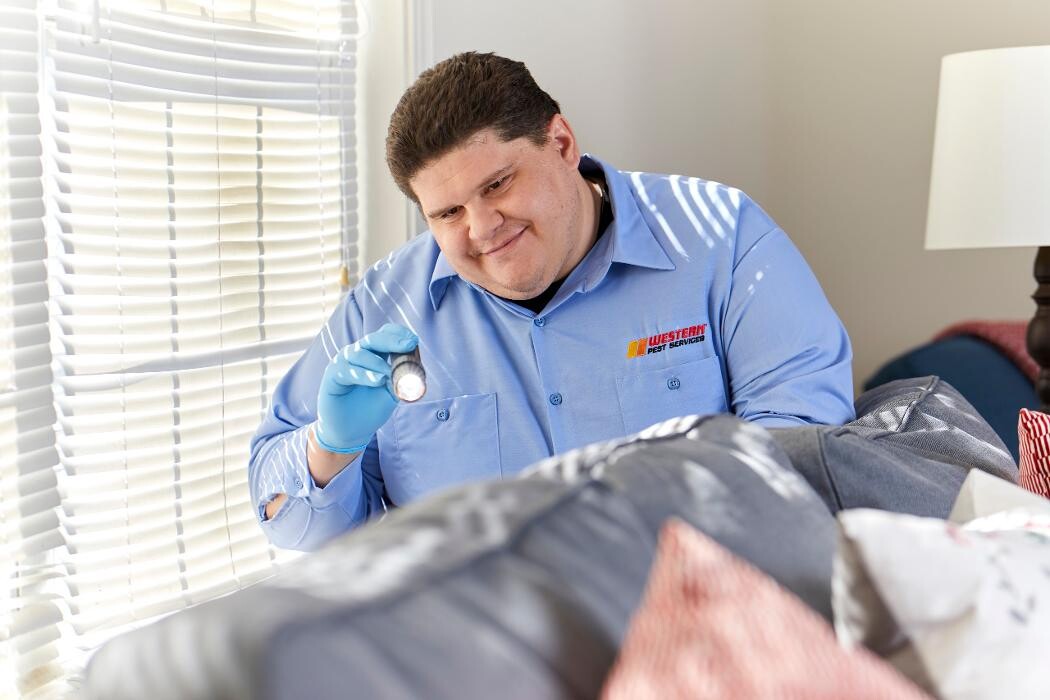 Images Western Pest Services