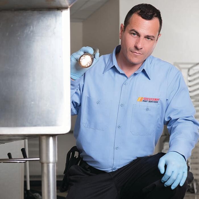 Images Western Pest Services