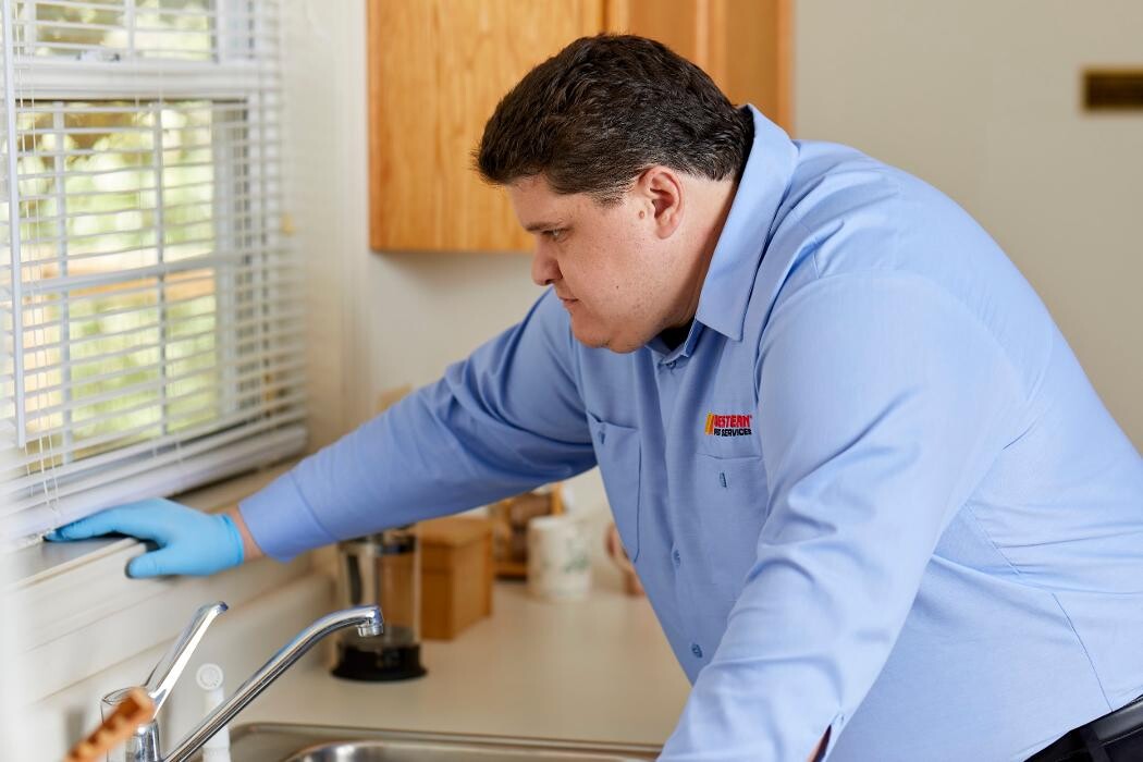 Images Western Pest Services