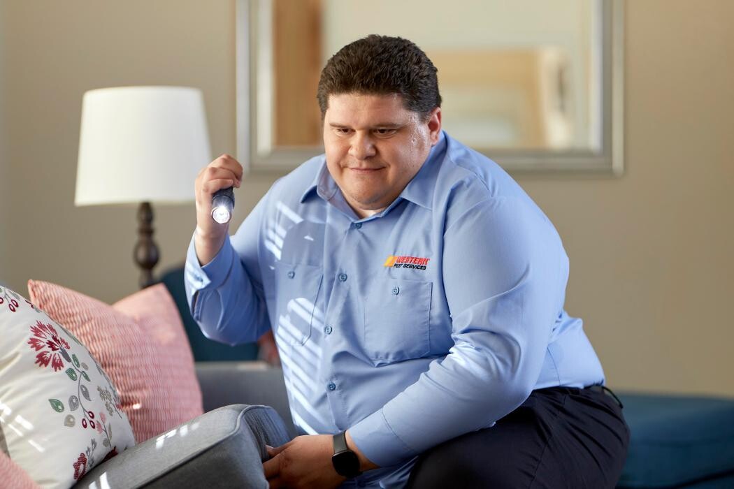 Images Western Pest Services