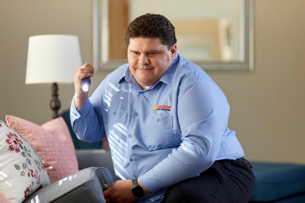 Images Western Pest Services