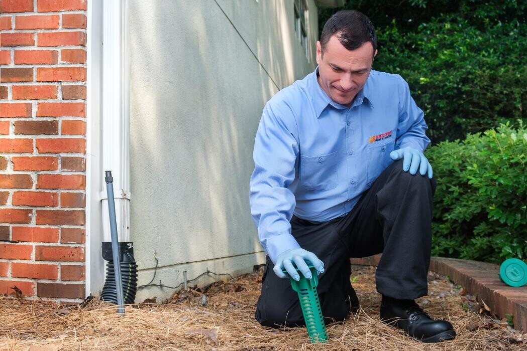 Images Western Pest Services