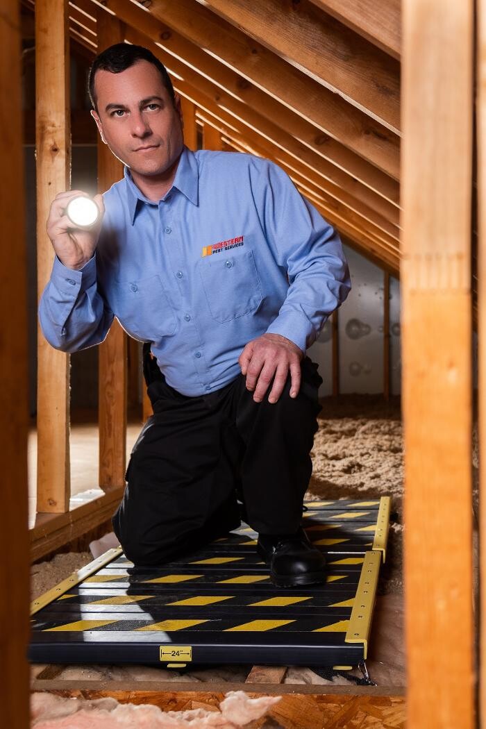 Images Western Pest Services