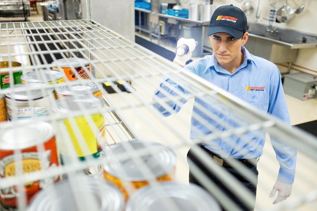 Images Western Pest Services