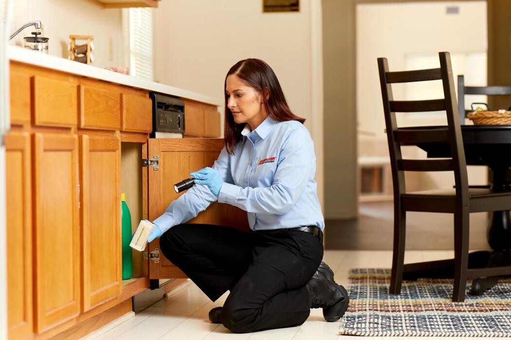 Images Western Pest Services
