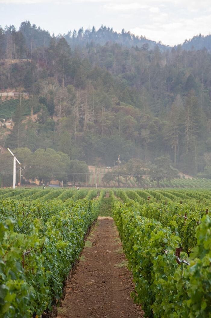 Images Ehlers Estate