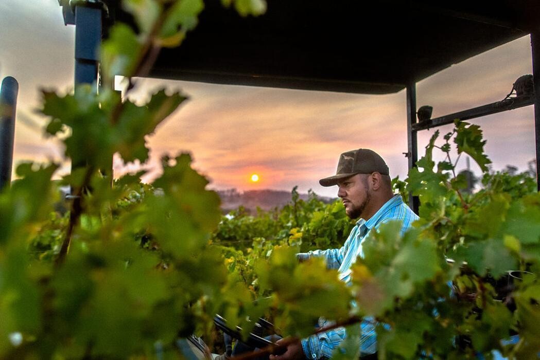 Images Ehlers Estate