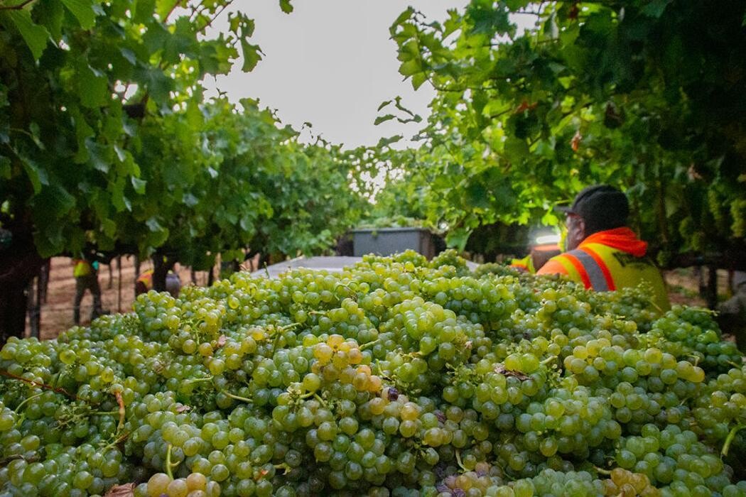 Images Ehlers Estate