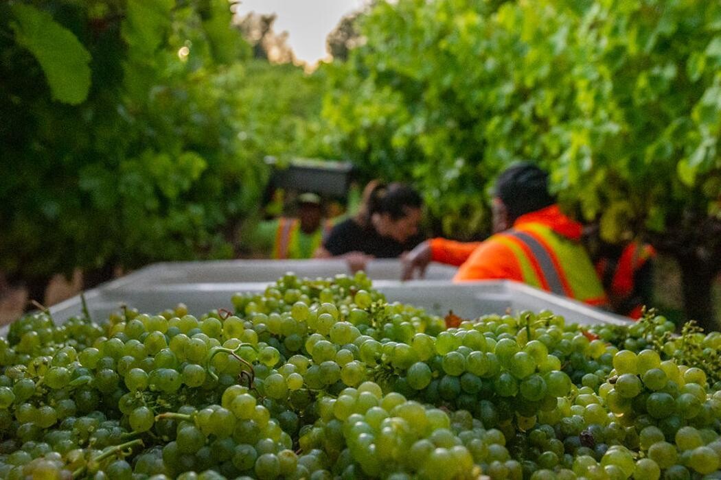 Images Ehlers Estate