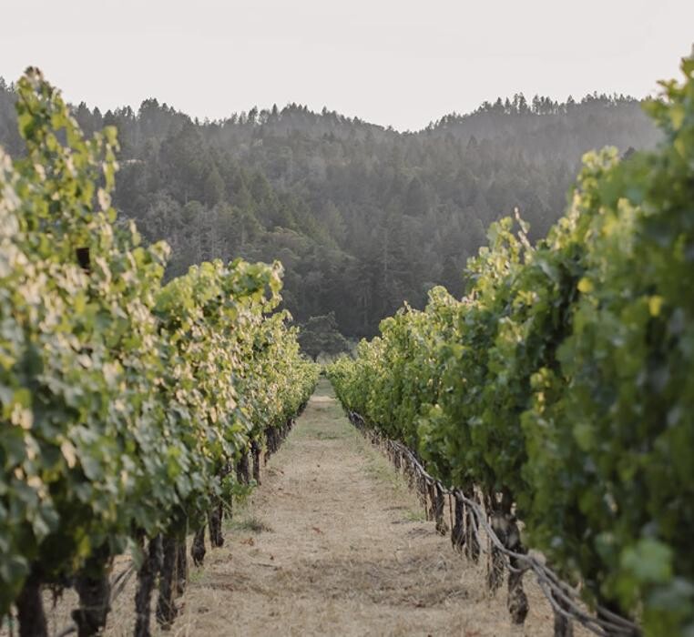 Images Ehlers Estate