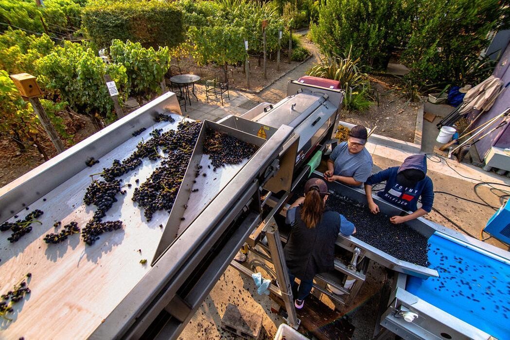 Images Ehlers Estate