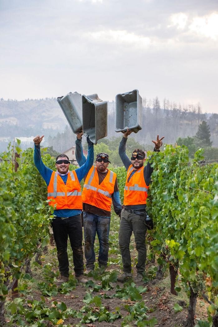 Images Ehlers Estate