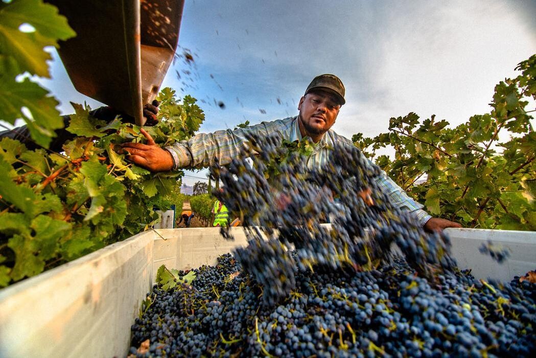 Images Ehlers Estate