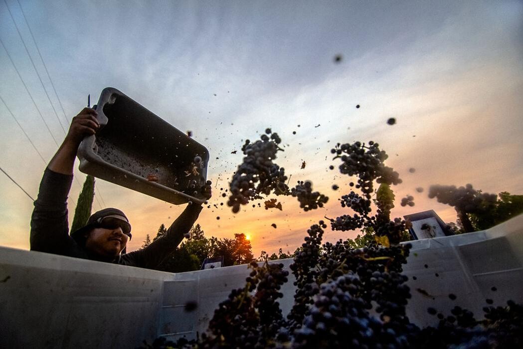 Images Ehlers Estate