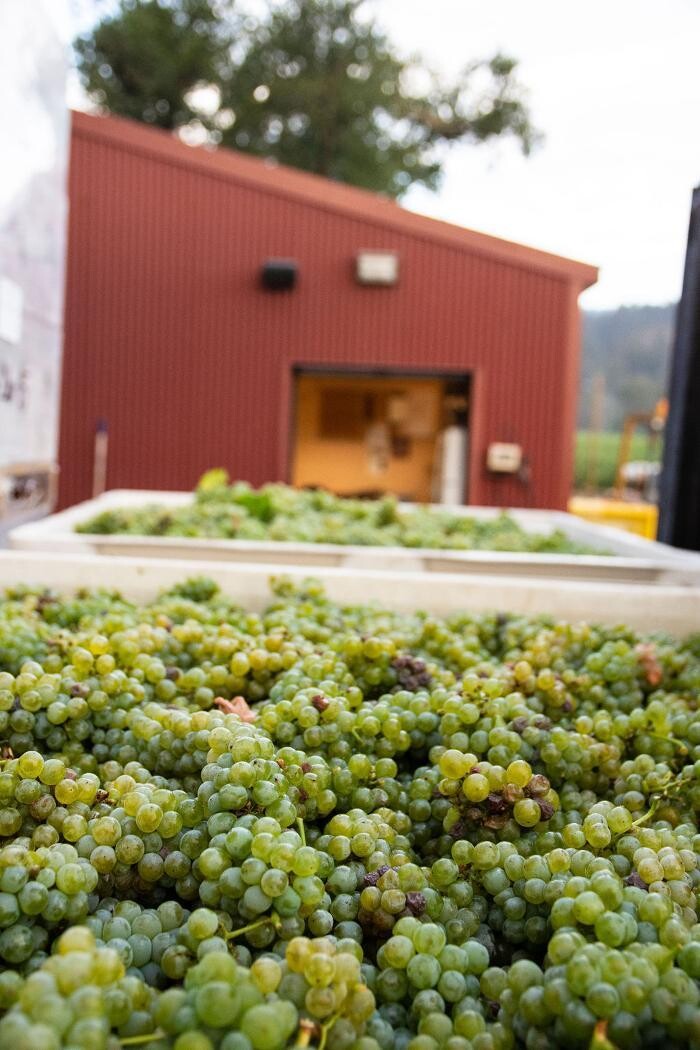 Images Ehlers Estate