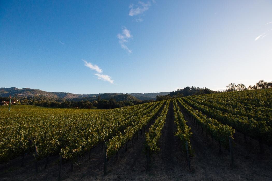 Images Ehlers Estate