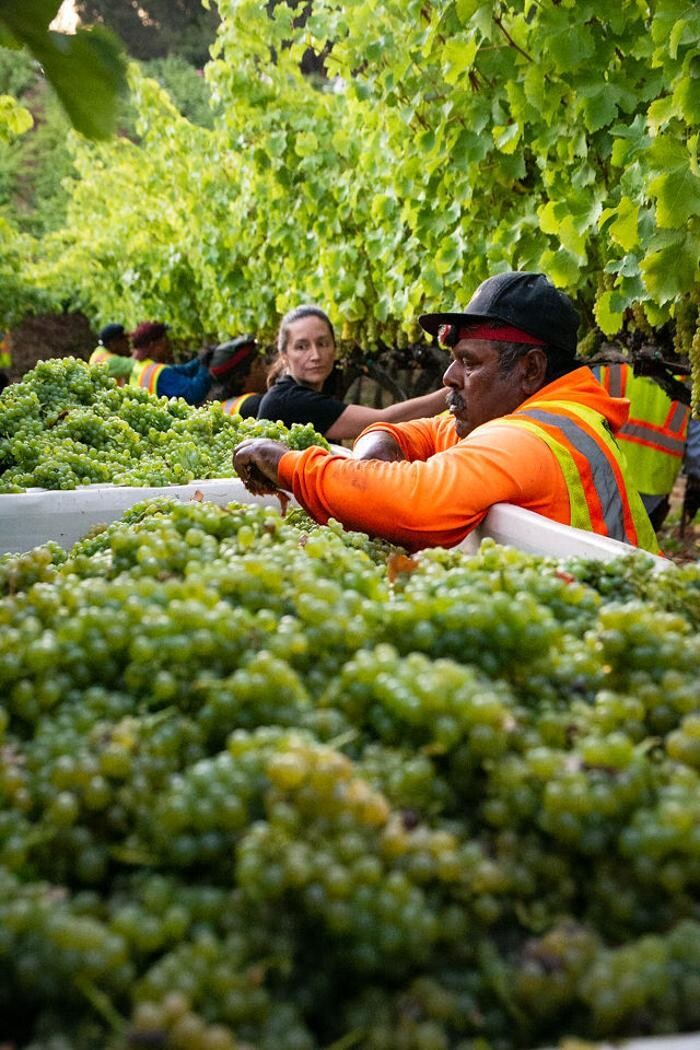 Images Ehlers Estate