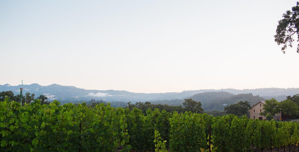 Images Ehlers Estate