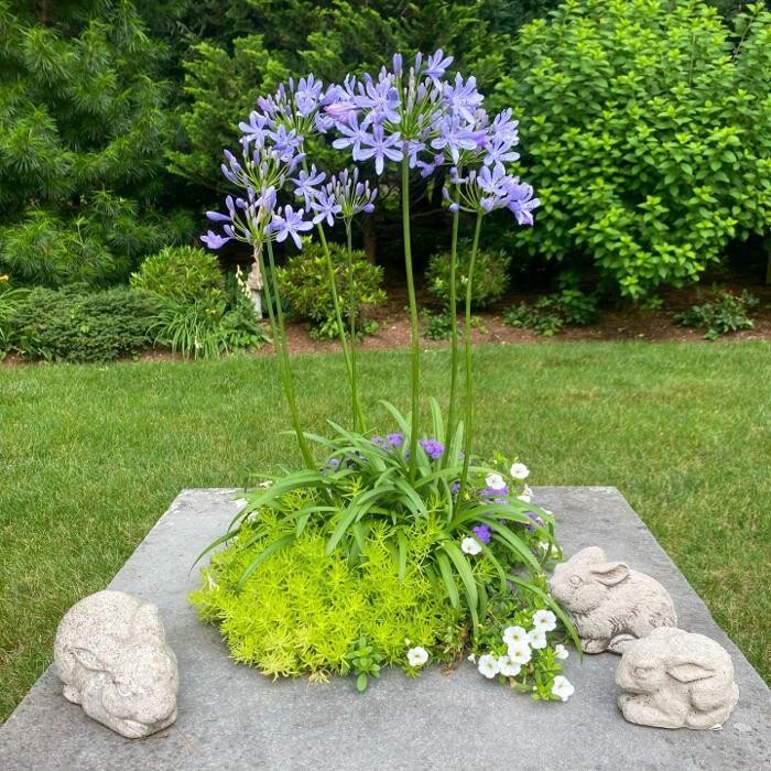 Images Ahronian Landscaping & Design