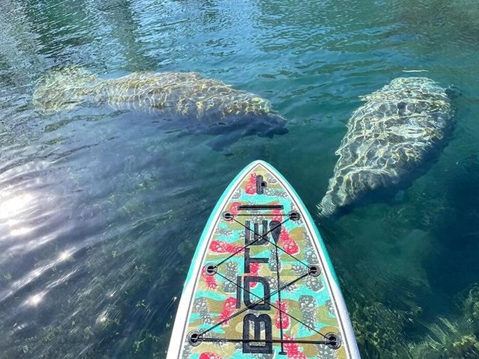 Images Nautical Ventures Marina & Service Center