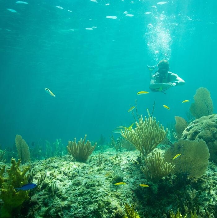 Images Nautical Ventures Marina & Service Center