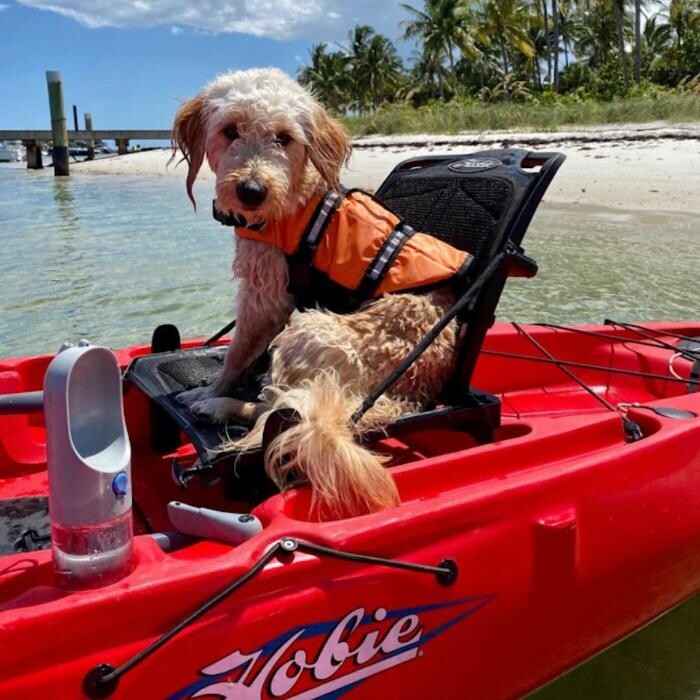 Images Nautical Ventures Marina & Service Center