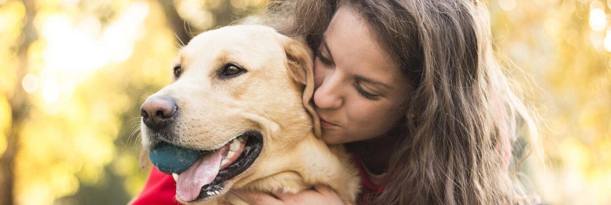Images Great Lakes Veterinary Clinic