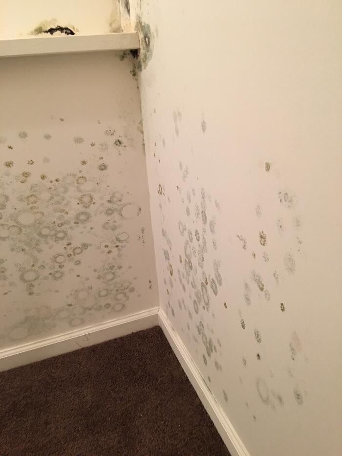 Images Dry Tech Waterproofing Solutions