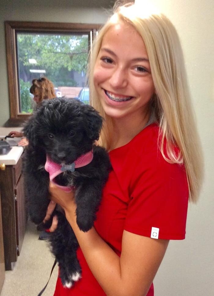Images Apple Valley Veterinary Clinic