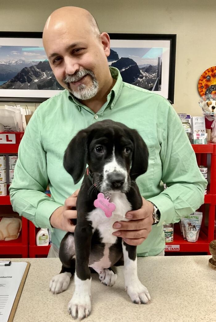 Images Apple Valley Veterinary Clinic