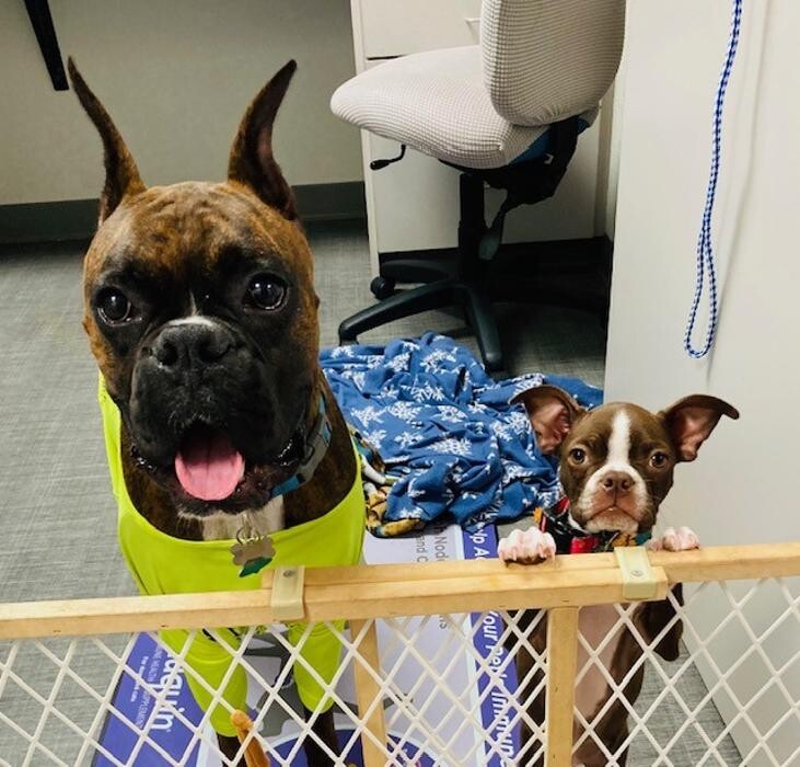 Images Apple Valley Veterinary Clinic
