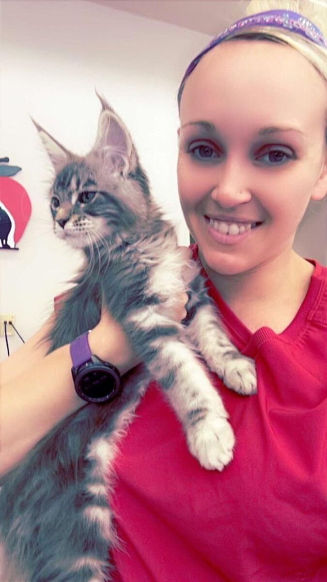 Images Apple Valley Veterinary Clinic