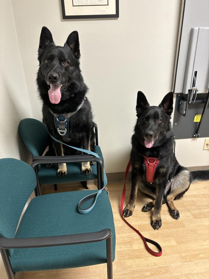 Images Apple Valley Veterinary Clinic