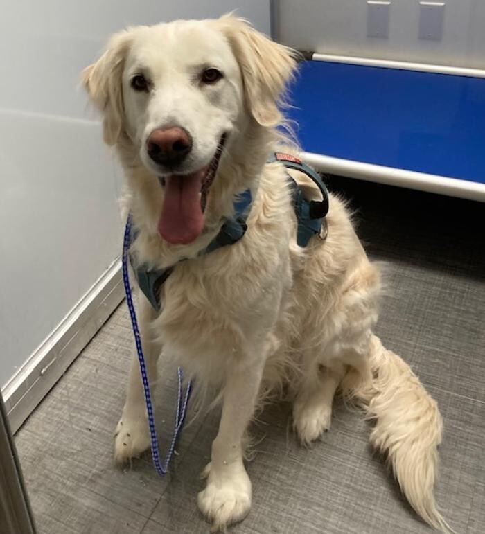 Images Apple Valley Veterinary Clinic