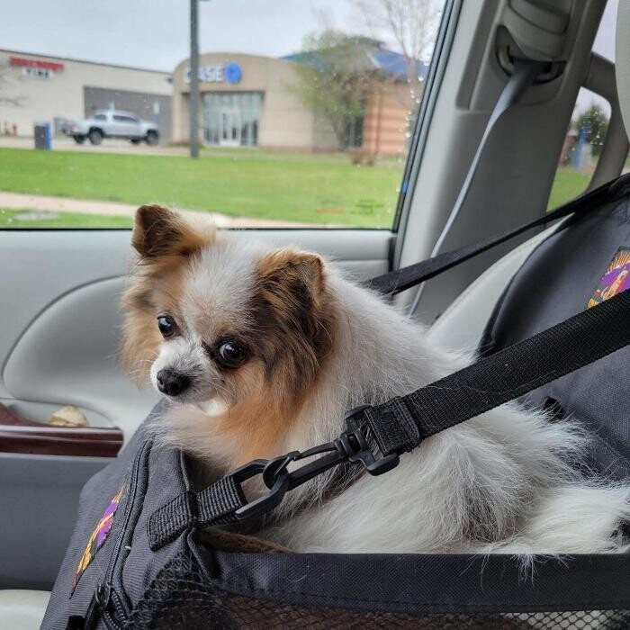 Images Apple Valley Veterinary Clinic