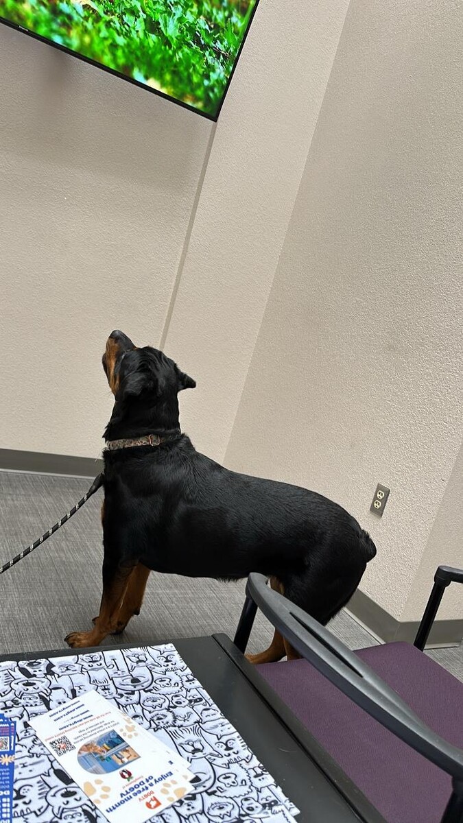 Images Apple Valley Veterinary Clinic