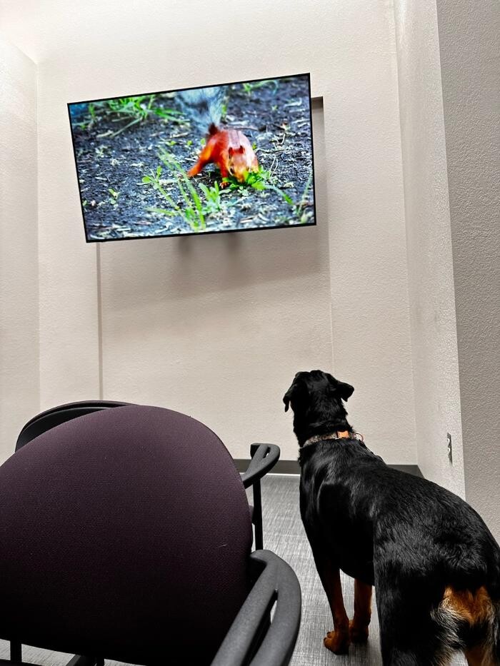 Images Apple Valley Veterinary Clinic