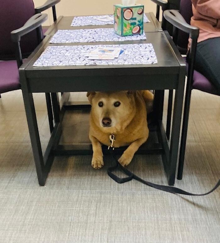 Images Apple Valley Veterinary Clinic