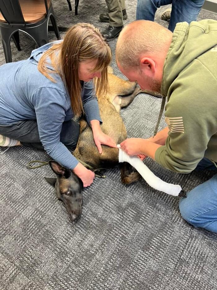 Images Apple Valley Veterinary Clinic
