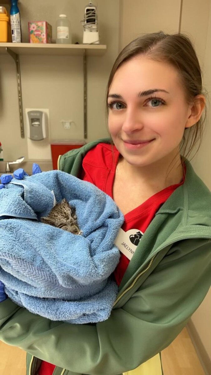Images Apple Valley Veterinary Clinic